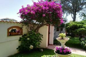 b&b Domus Gratiae, Остия-Антика
