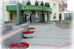 Отель «Сосновый Бор», Сосновый Бор