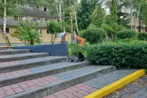 Санаторий «Пралеска» в Волковысском районе