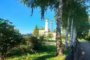 Азалия № 15, Киргиз-Мияки