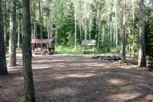 Турстоянка Ровненький борок, Пржевальское