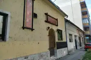 Laufer, Нови-Сад