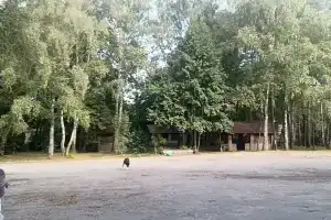 База отдыха «Лесная тишь», Светлогорск