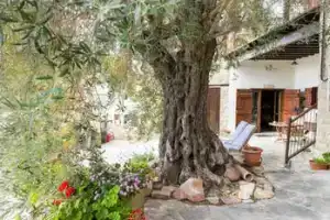 Vouni Lodge, Воуни