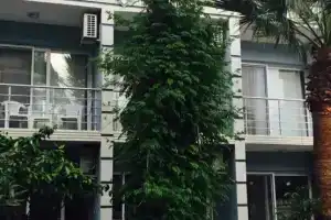 Marti Pension, Гюзельчамлы