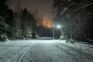 Хостелы