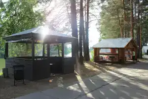 Сосновый бор