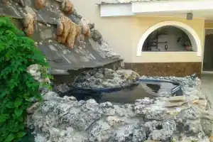 Полис, Николаевка