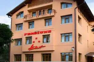 Pensiunea Ambient, Брашов
