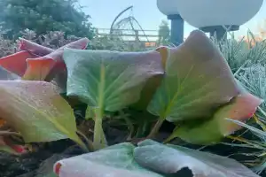 Гостевой дом «Горный родник», Причтовский