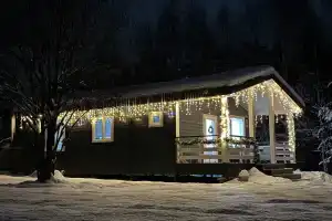 Уютный дом с видом на лес