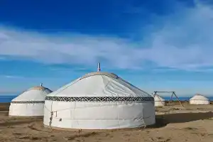 Feel Nomad Yurt Camp в Тонском районе