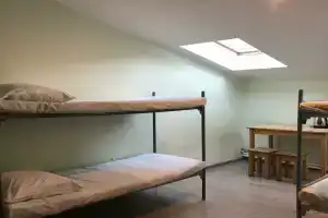 Гнездо