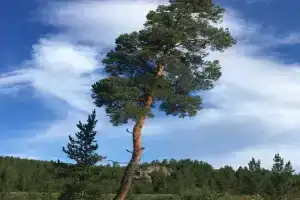 База отдыха «Кок-Тау», Усть-Каменогорск