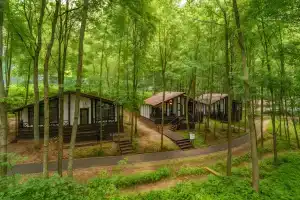 Парк-Отель «Истра», Лечищево