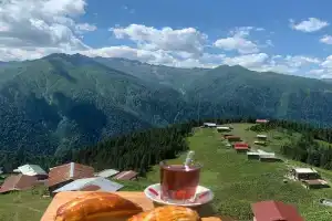 Pokut Doga Guest House, Чамлыхемшин