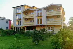 Apartments Old Olive, Бар