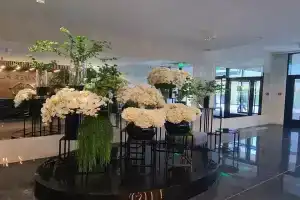 Клевер Удачи