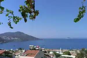 Oz Pansiyon, Каш