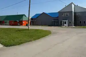 Комфорт, Козулька