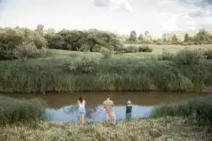 Гостиницы