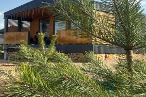 Хабарское - Гостиницы Хабарское - Гостиницы