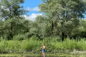 Гостиницы Гостиницы