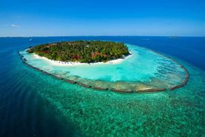 Отель «Kurumba Maldives», Атолл Северный Мале