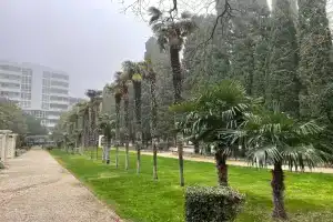 Мисхорский парк