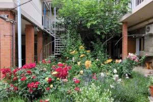 Гостевой дом «ДРУЗЬЯ», Геленджик