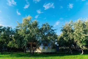 Глэмпинг Поляна