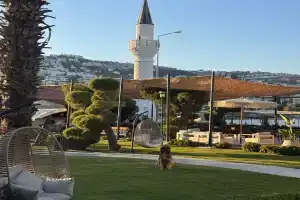 Mare Alba, Гюндоган