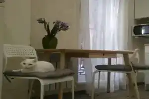Usad'Ba Apartments, Сочи