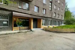 Дыхание леса