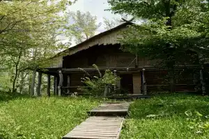 Дом Ибн-Сина