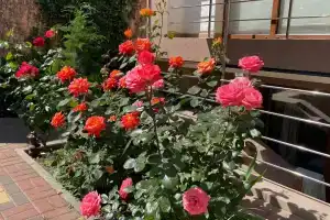 Гостевой дом на Московской, Евпатория