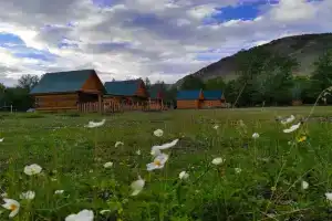 База отдыха «Софийская поляна» в Кош-Агачском районе