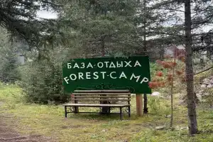 Гостевой дом «Forest camp», Акташ