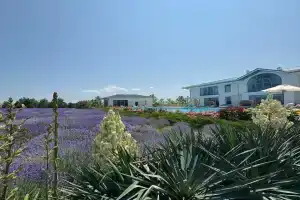 Вилла Романов Винный клуб & SPA