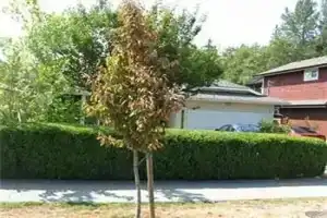 Glenwood Bed and Breakfast, Суррей