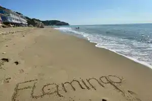 Гостевой дом «Фламинго», Пицунда
