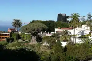 Drago Hostel, Икод-де-лос-Винос