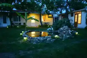 Домики в саду