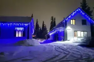 Дом в лесу
