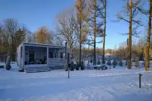 Шапки дача, Шапки