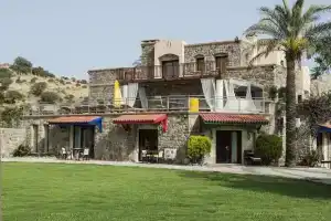 Palmiye Tepesi, Ортакент
