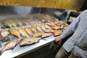 Дом рыбака «Болхуны», Болхуны