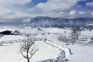 Ranch Terra, Раковица