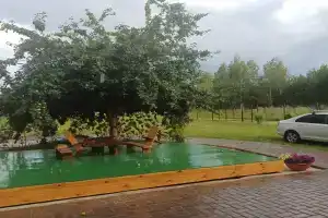 ЭкоПространство, Дегтяное