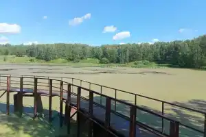 База отдыха «Берёзка» в Веневском районе